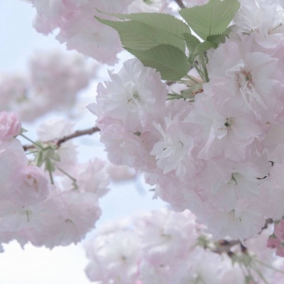 Furry插画风格探索思路Furry群